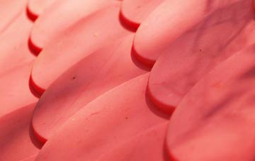 Lochfoot plastic roof costs