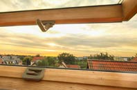 rated Lochfoot roof window companies